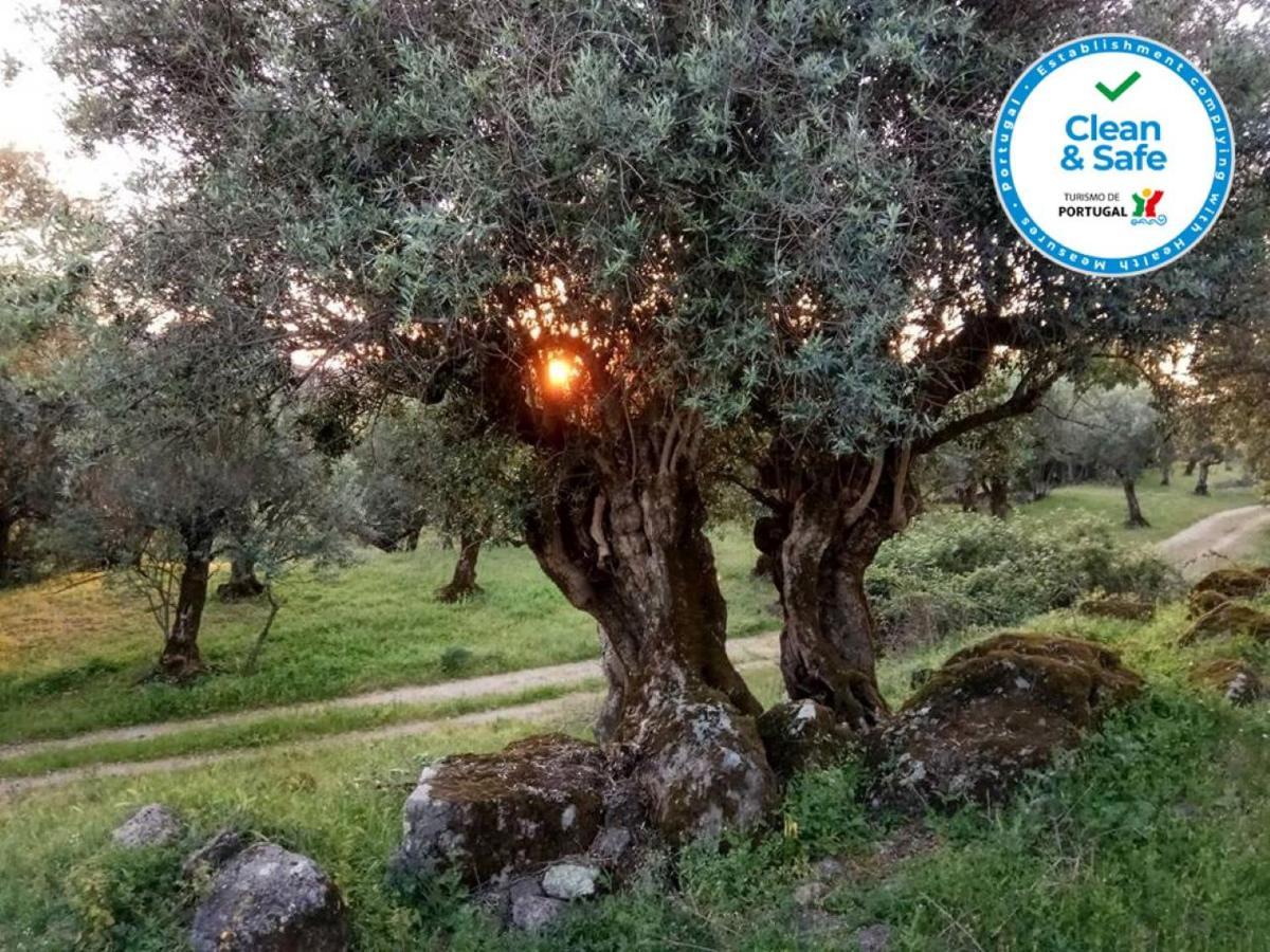 Convento Da Provenca Otel Portalegre Dış mekan fotoğraf